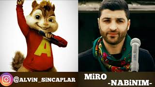 Miro - Nabinım (Alvin Ve Sincaplar) Resimi