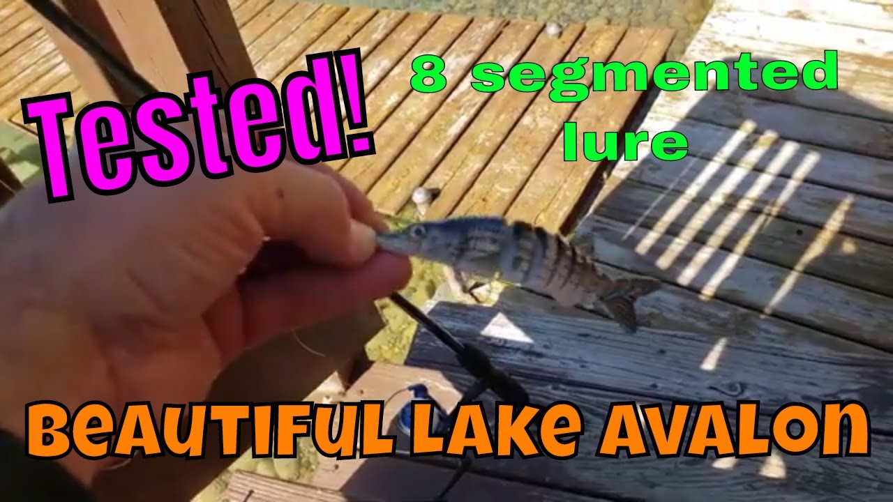 Tested! An 8 segmented fishing lure on Lake Avalon YouTube