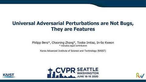 Universal Adversarial Perturbations are Not Bugs, They are Features CVPR 2020 Workshop