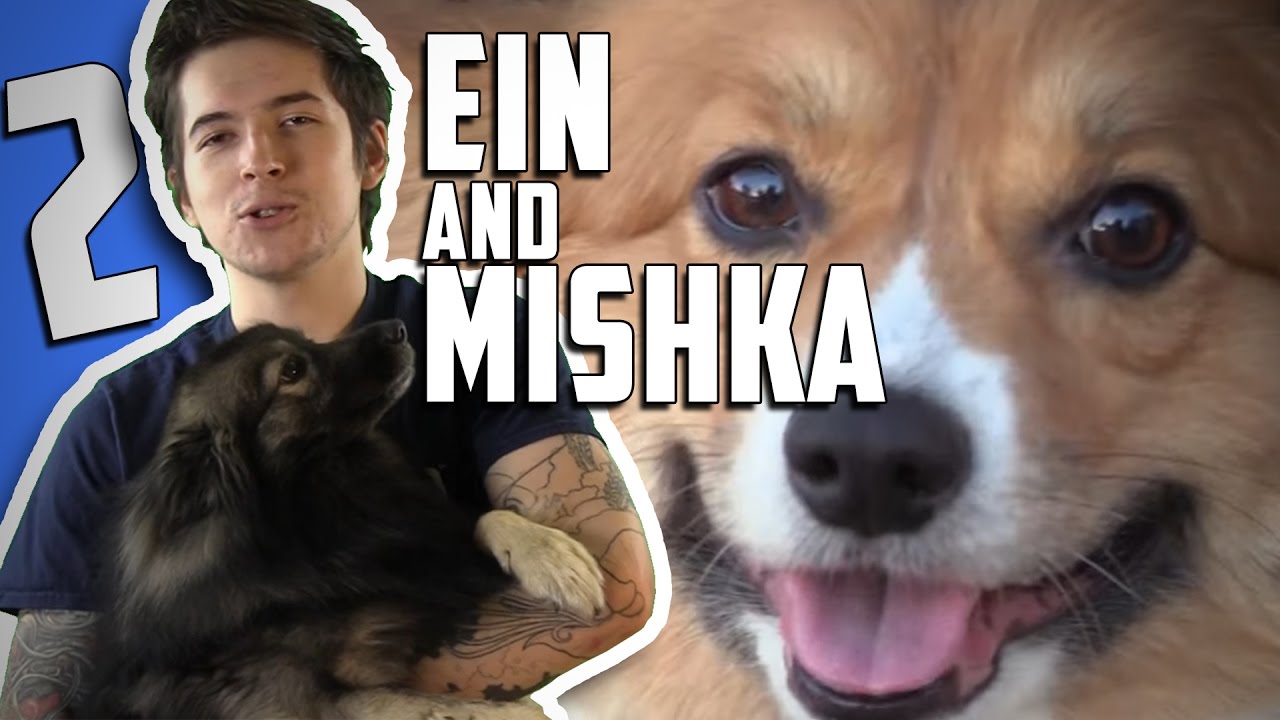 EIN AND MISHKA 2 • A Cow Chop Compilation