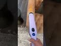 where has this been all of my life 🥹 Shark handheld vacuum, shark wandvac lightweight cordless