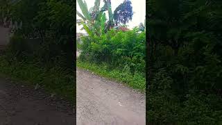 dzikir #canel sumantri1816