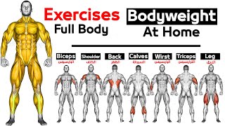 Full Body HOME Bodyweight  WORKOUT (squats, chest ,triceps, biceps , back, shoulder )