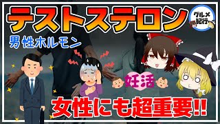 【ゆっくり解説】40代50代から女性にも超重要な男性ホルモン『テストステロン』増やす食べ物とは！【若返り】