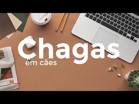 Vídeo: Chagas - Uma Doença Para Vigiar Nos Cães