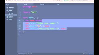 Golang CLI User Input