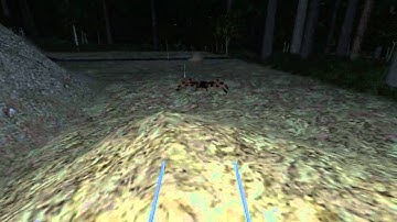 Wurm Online: Spiders don