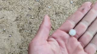 Heavy rain with Hailstorm in our area/// Northeast India///