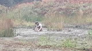 Peat bog leap of faith