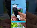 Manual Gravel Cleaner | Hút sạch cặn dưới lớp sỏi trải sàn bể cá #aquarium #tools