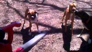 Sunday Funday Activities