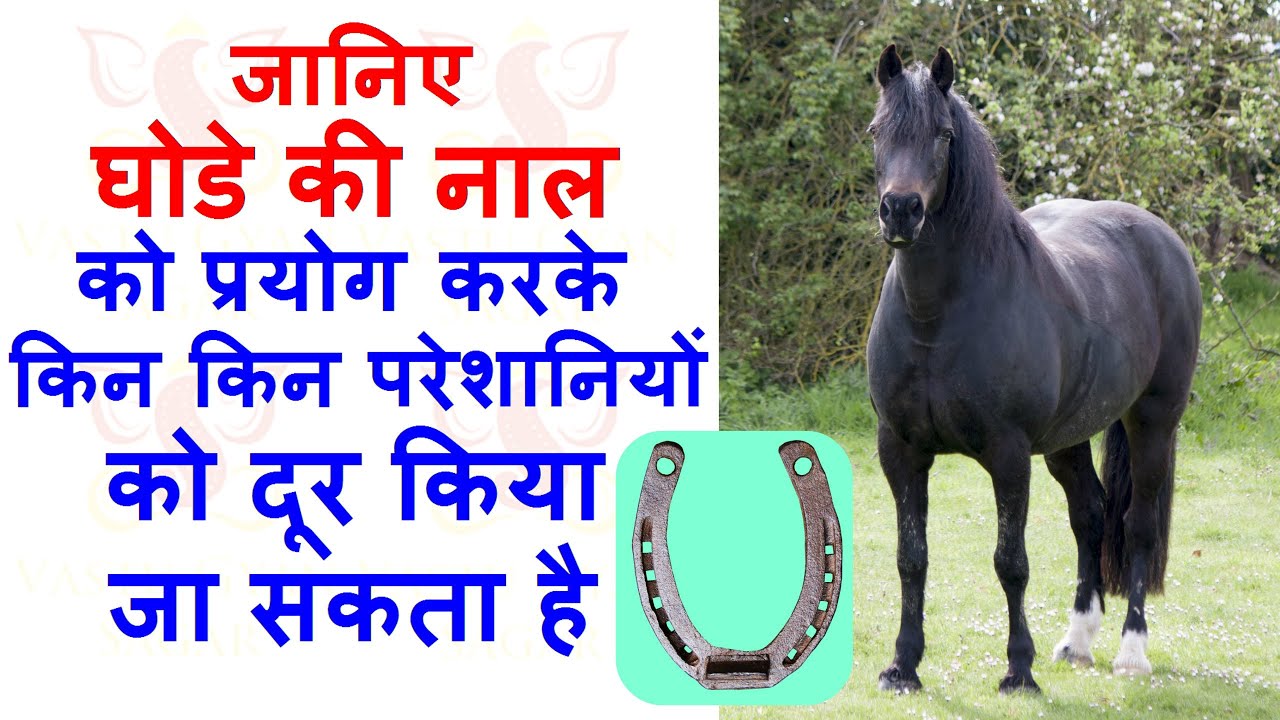 काला घोडा नाल छल्ला शनि गृह के लिए Black Horse Shoe Kala Ghoda Naal Ring  Challa – RSP ASTRO