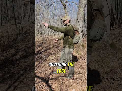 🔍 Scouting the Intersection of Clear-cuts, Swamps, and Hardwoods 🌳🌲 Hunting Hot Spot 🦌🎯 #deerhunting