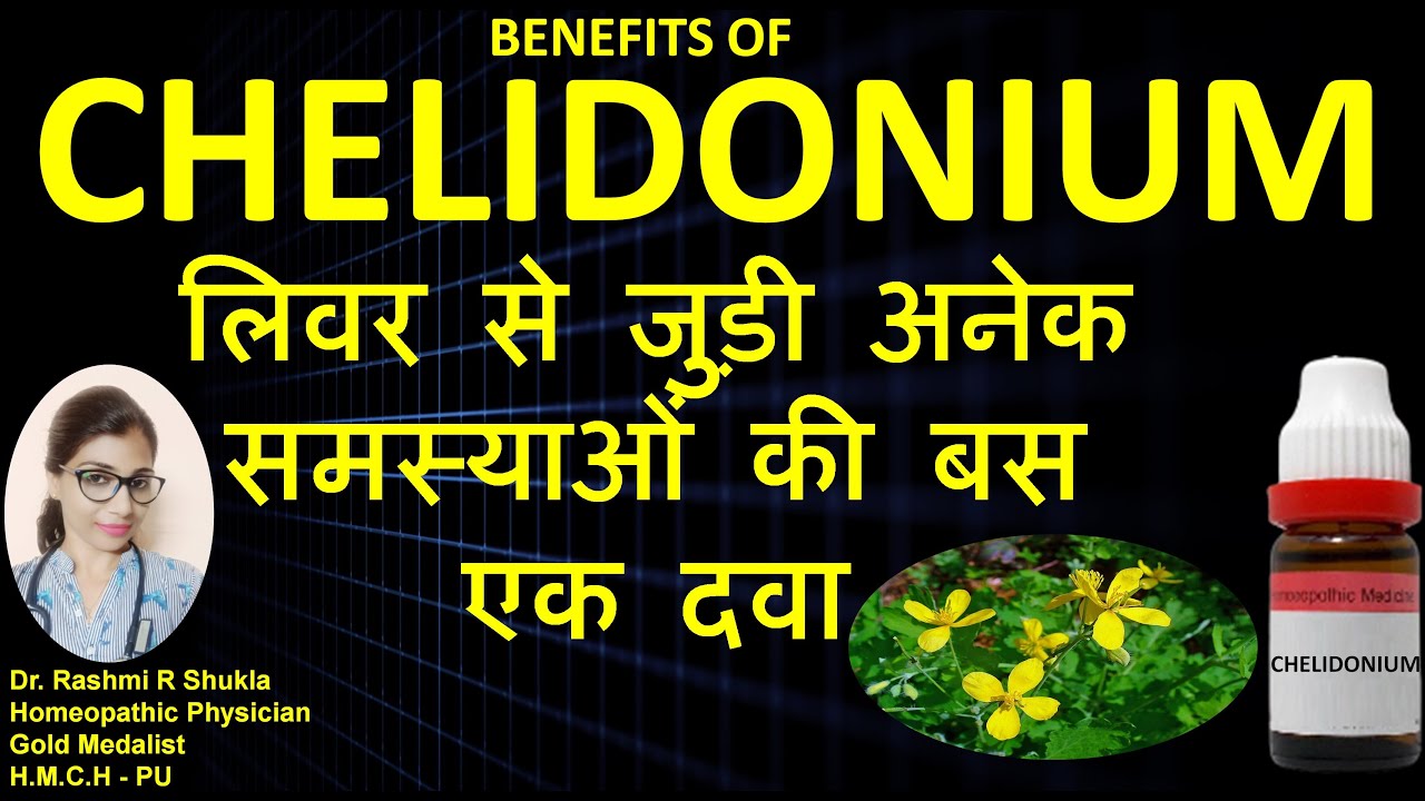 Chelidonium -Best homeopathic medicine for liver| chelidonium Q uses|Che