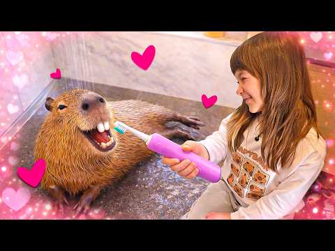 Bianca putzt dem Capybara die Zähne – Eine lustige Pflegegeschichte