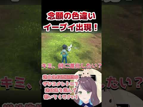 【ポケモンレジェンズアルセウス】ついに色違いイーブイ出現！進化先募集中！　#shorts #ポケモン