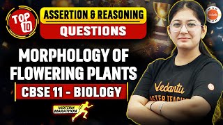 Anatomy of Flowering Plants Class 11 Assertion Reason | CBSE Class 11 Biology MCQs for Midterm