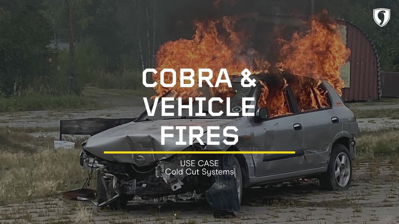 Cobra & Vehicle Fires