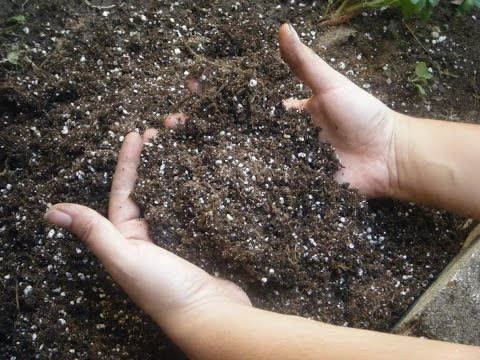 Видео: Слишком много азота в почве: советы по снижению содержания азота в почве