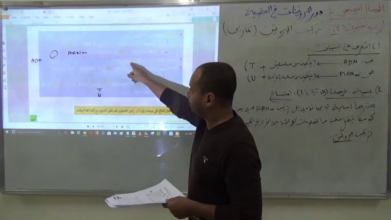 تمرين 2 حول تركيب البروتين