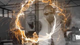 Chris Brown   Blow It In The Wind  VIDEO