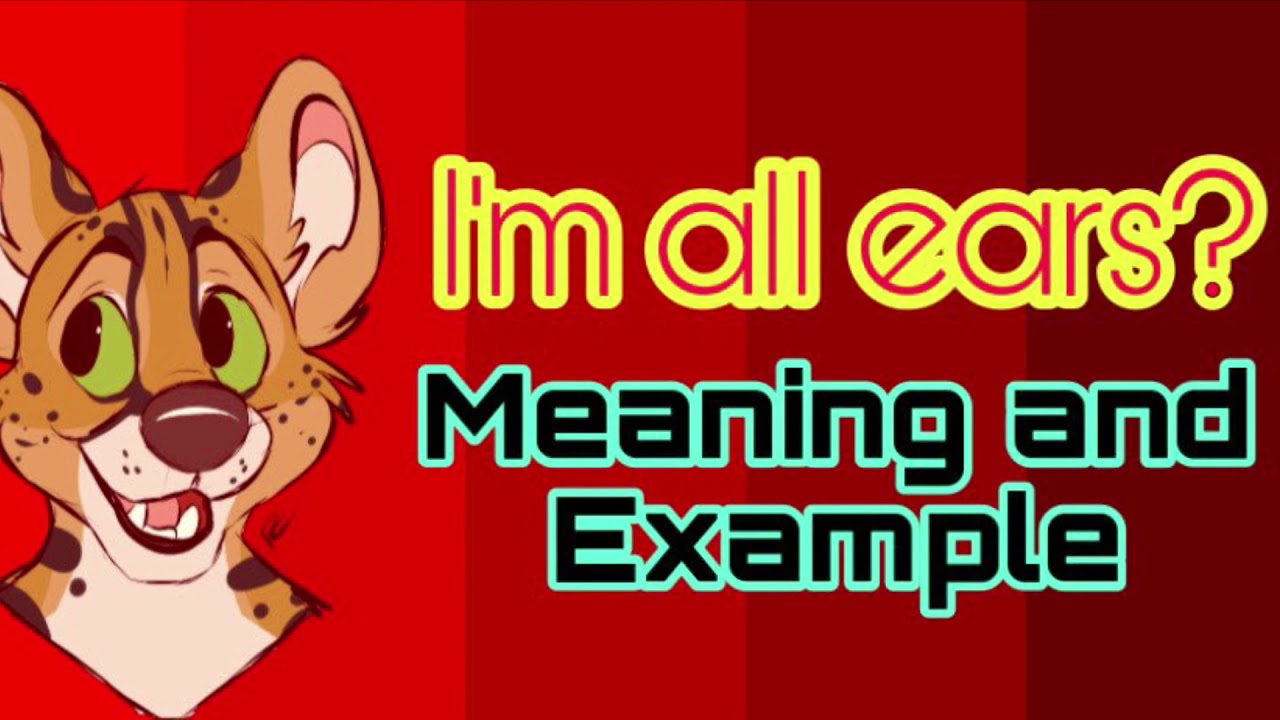 I M All Ears Meaning And Example Spoken English Speak English Easily English Idioms Youtube
