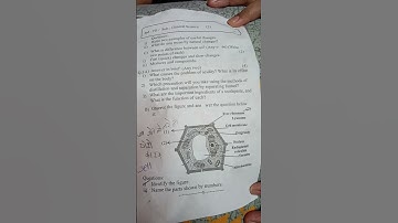 7th std science 2nd unit test 2025