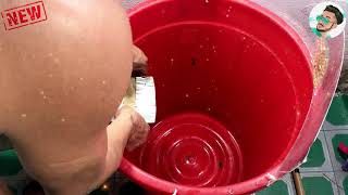 トップ10アイデアラットトラップ Top 10 Perangkap Tikus Listrik Teratas プラスチック製のバケツで電気マウスをトラップ 最高のネズミ捕りのアイデア Youtube