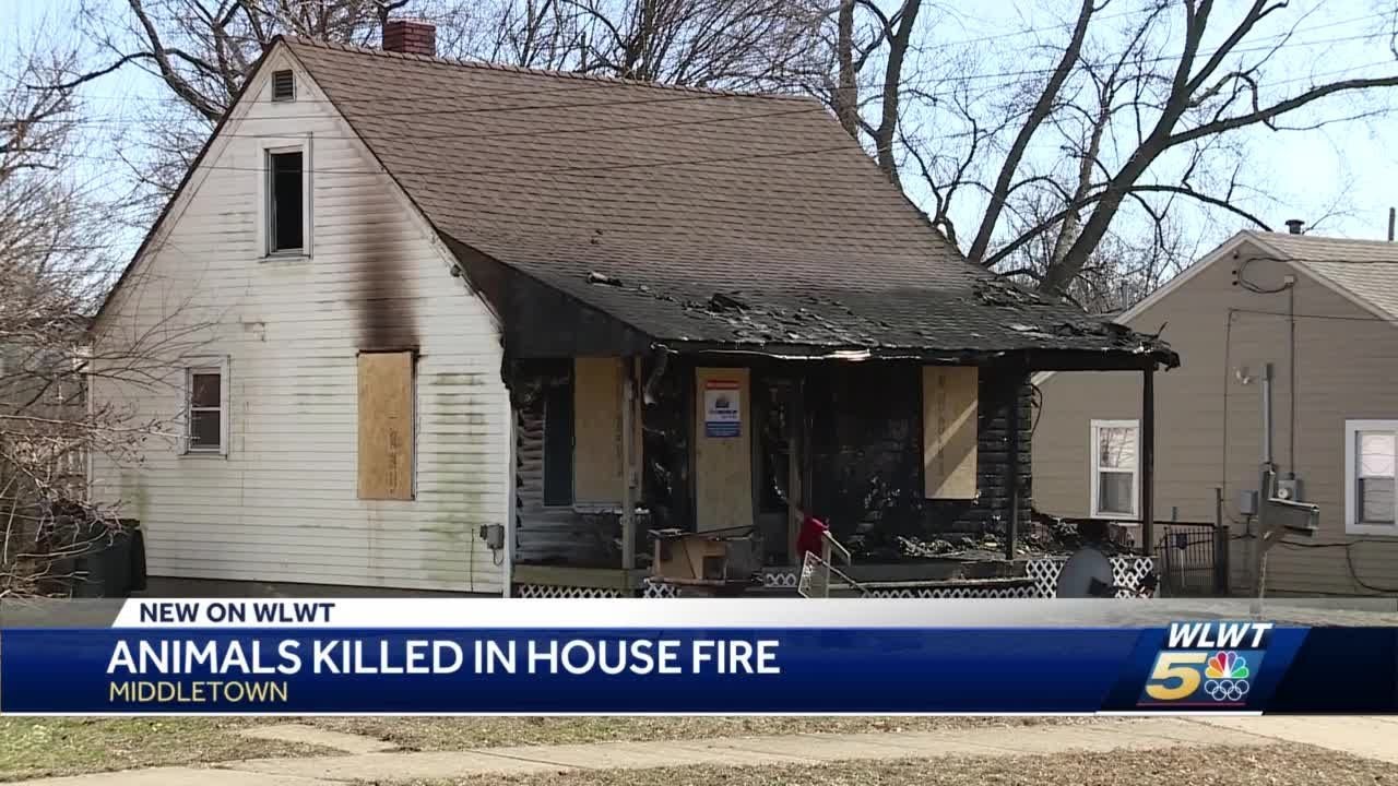 More than 20 pets dead, others missing after Middletown house fire ...