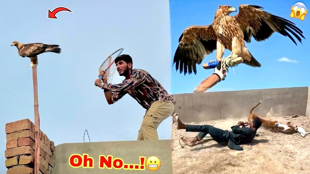 AJ YOU HAVE GOT GREAT BHURA PHANS😱