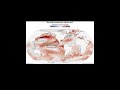 Forecast for the region: El Niño 3.4 over the next few months