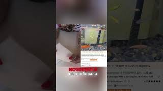 Грязная вода в аквариуме Этот лайфхак спасает #aquarium #cleaning #fishtank