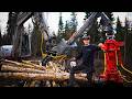 Out in the Woods Harvesting Birch &amp; Sleeping in the Forest