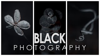 Black botanical macro photography screenshot 5