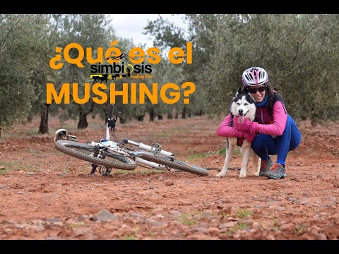 Video: Mushing Con Su Perro: Conceptos Básicos