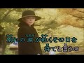 北斗星・山川豊/cover