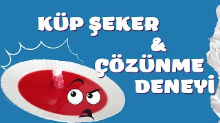 Küp Şeker Çözünme Deneyi Okul Öncesi Etkinlikleri