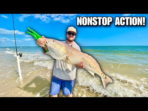 Catching Big BULL REDFISH in the Surf! (Fall Run Chaos!)