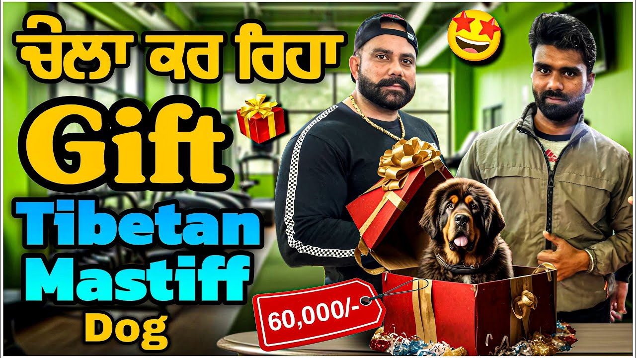ਅੱਜ ਕੱਲ੍ਹ ਦੇ ਬੱਚਿਆ ਦਾ Confidence Level Zero 0️⃣🤦🏻 - YouTube
