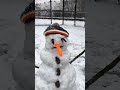 rate my snowman part 2