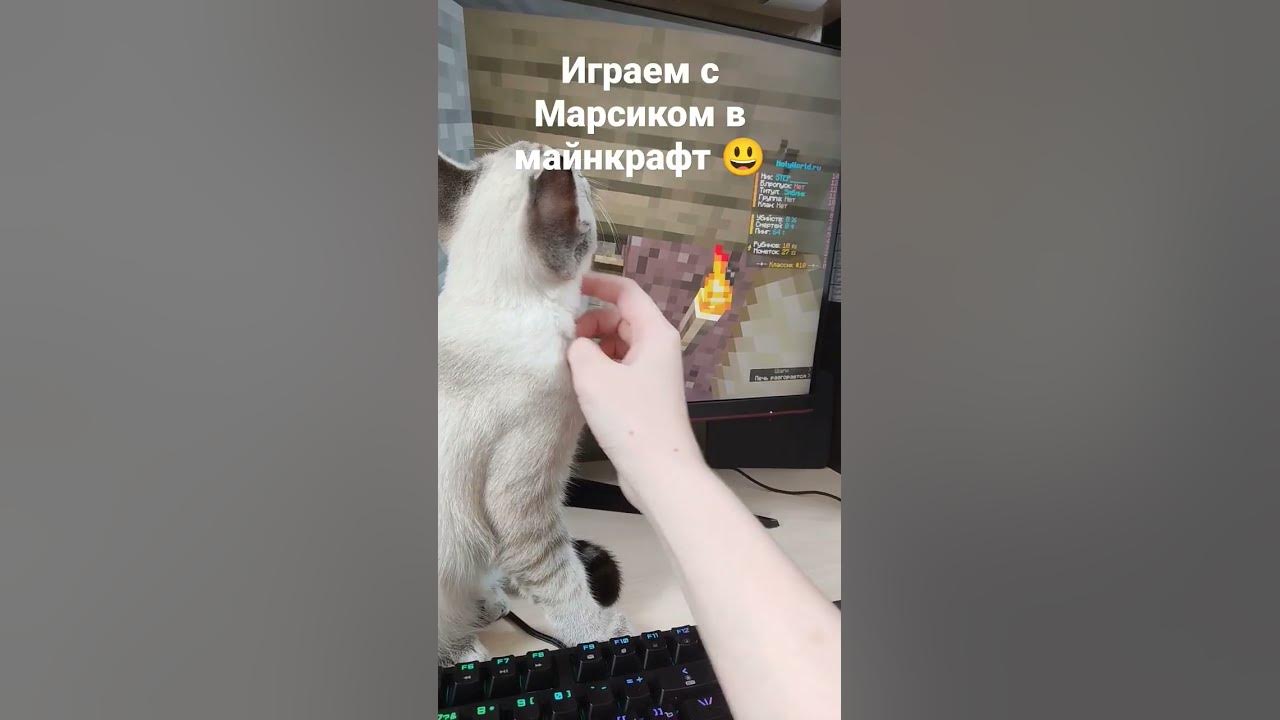 Марсик крутой майнкрафтер 😎 - YouTube