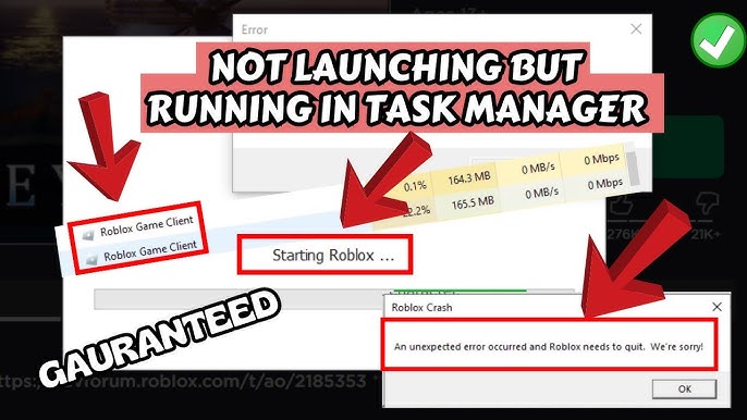 Roblox freezes instantly on startup - Platform Usage Support - Developer  Forum