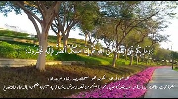 هدى للناس ١٥ | سورة النحل "الآيه ٥٣"