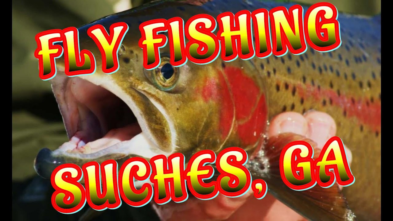 Fly Fishing At Suches, GA. YouTube