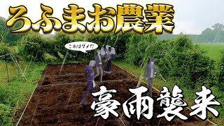 【責任問題】暗躍するあの２人…オクラ食べたくないっ！！#ろふまお農業