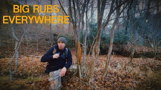 Big Rubs Everywhere