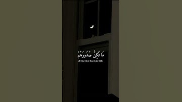 اجر لي و لكم ✨🌷 #القرآن_الكريم #ربيع_قلوبنا #سورة_النمل #اسلام_صبحي #تلاوه_خاشعة