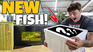 He SURPRISED Me with THIS for 5,500G POND!! (crazy)