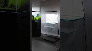  Ada 60p Aquarium Setup