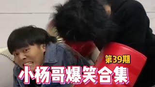 😂小杨哥爆笑合集——第39期 | Crazy Yang Hilarious Collection - Episode 8 #疯狂小杨哥